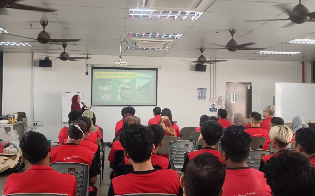 Reflecting on Our Sustainability Day: Small Steps, Big Impact
