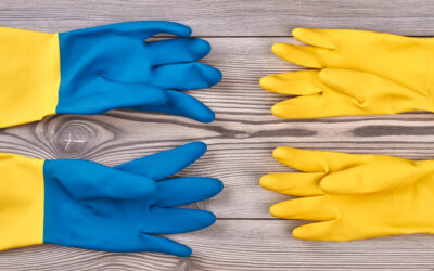 Challenges and Trends in the Gloves Supply Chain