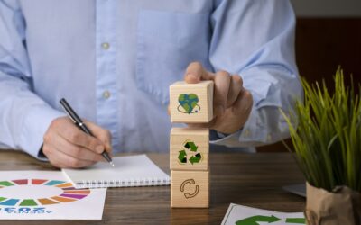 Why You Should Know a Company’s Sustainability Practices